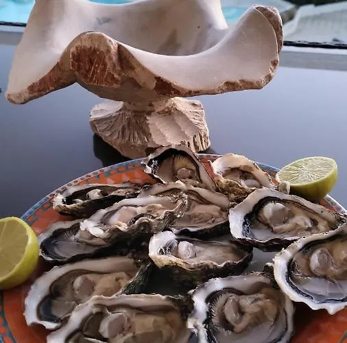 Superbe Avec Vue Panoramique Apartment *